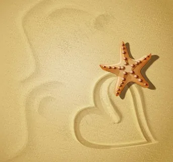 沙滩爱心海星图片