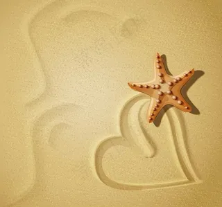 沙滩爱心海星图片
