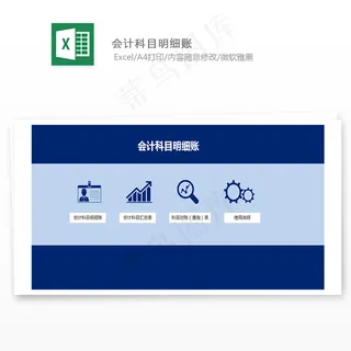 会计科目明细账
