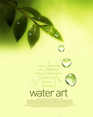 春天树叶水滴psd素材