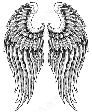 翅膀图片