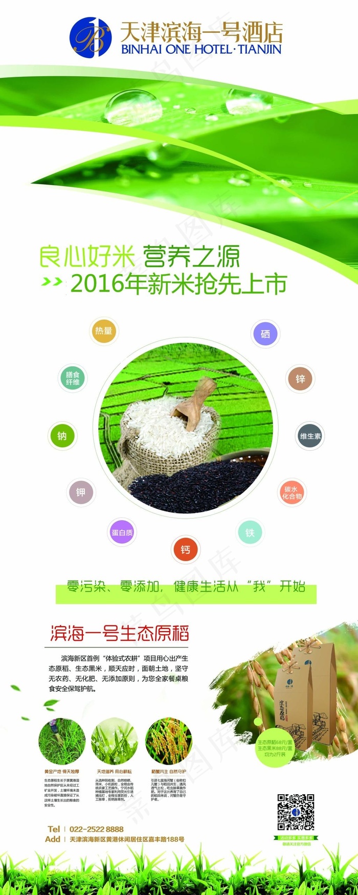 水稻易拉宝原稻海报生态大米绿色易拉宝