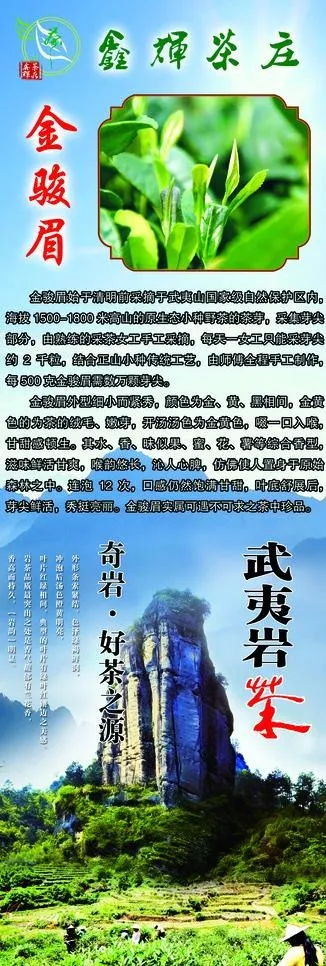 茶叶x展架图片(1890X5039(DPI:80))psd模版下载