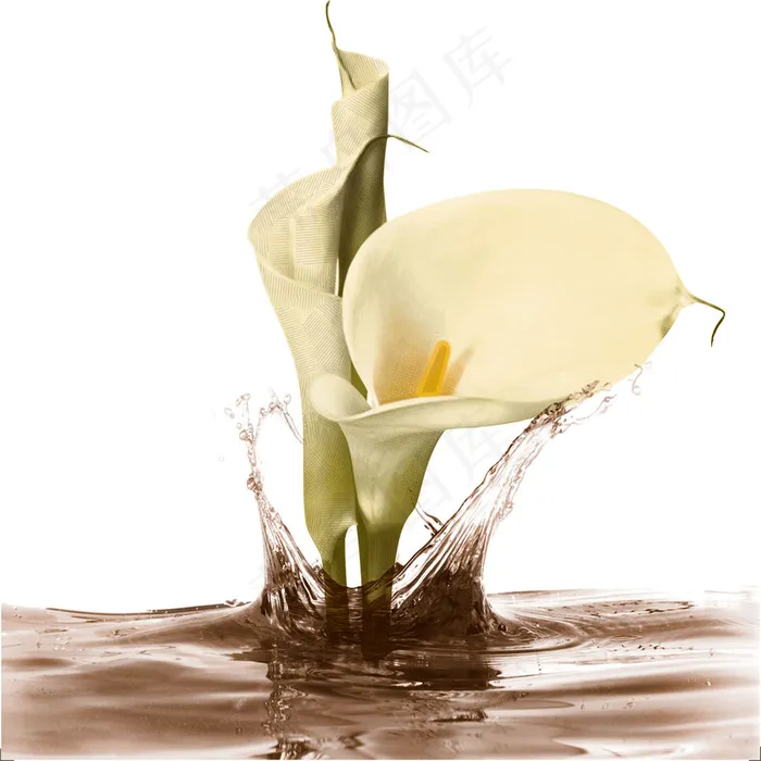 花苞 花片psd模版下载