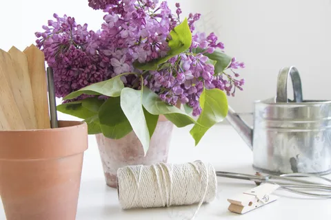 简约小清新文艺风插花静物摆拍背景