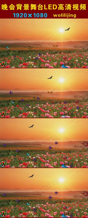 蝴蝶田野采花晚会背景LED高清视频