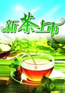 新茶上市