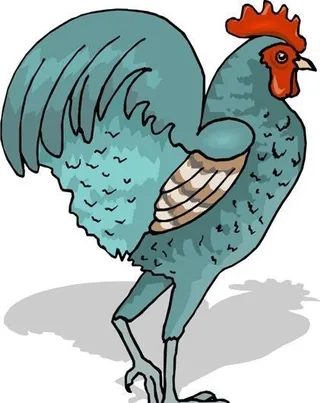 家禽家畜 动物 矢量素材 EPS格...