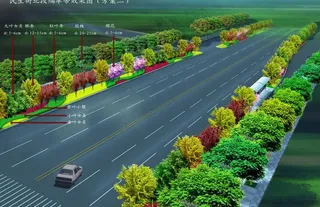 城市道路绿化图片