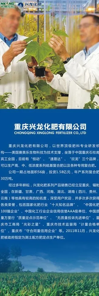 公司简介x展架图片cdr矢量模版下载