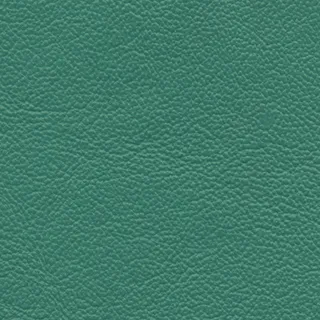 大绿色皮质纹理贴图图片