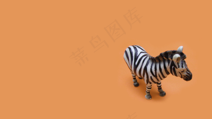 问路的斑马 高清 2D 背景图片