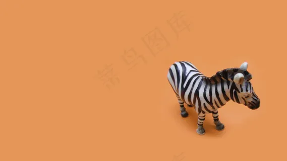 问路的斑马 高清 2D 背景图片