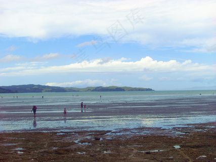 新西兰海滨风景图片