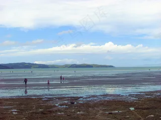新西兰海滨风景图片