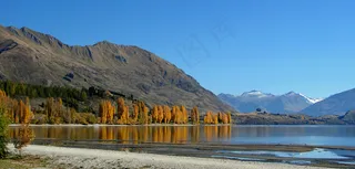 自然景观 秋天图片