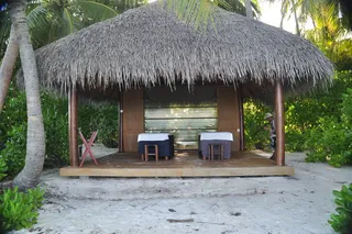 椰林中的沙屋图片