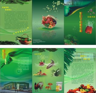 农产品超市宣传册矢量图