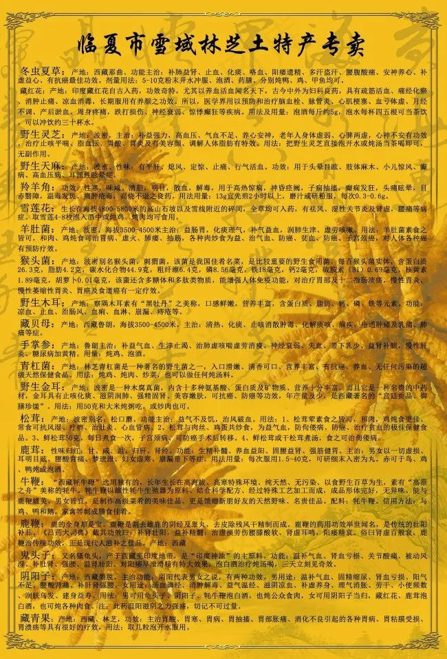 西北特产彩页(2244X3307(DPI:200))psd模版下载