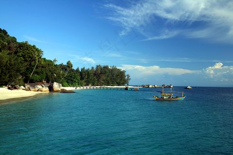 海洋沙滩椰子游船图片