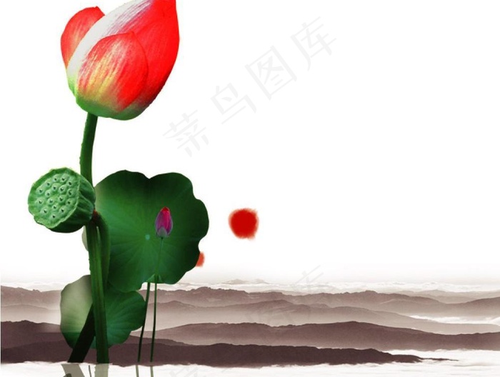 水墨荷花图片psd模版下载