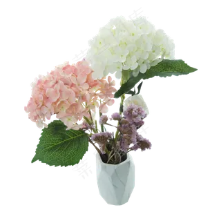 绿植绣球绿植绣球 绿植绣球绿植绣球