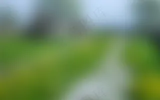 草地道路 模糊  高清背景素材