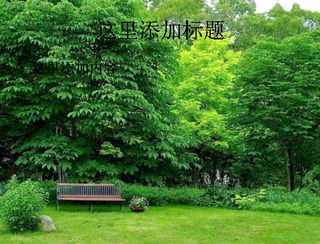 
电脑ppt封面春天的气息绿色背景图片(6)
