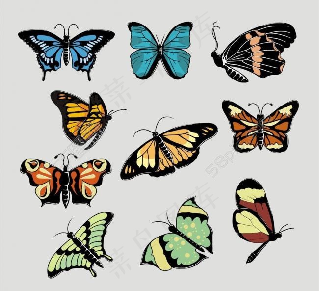 矢量蝴蝶图片
