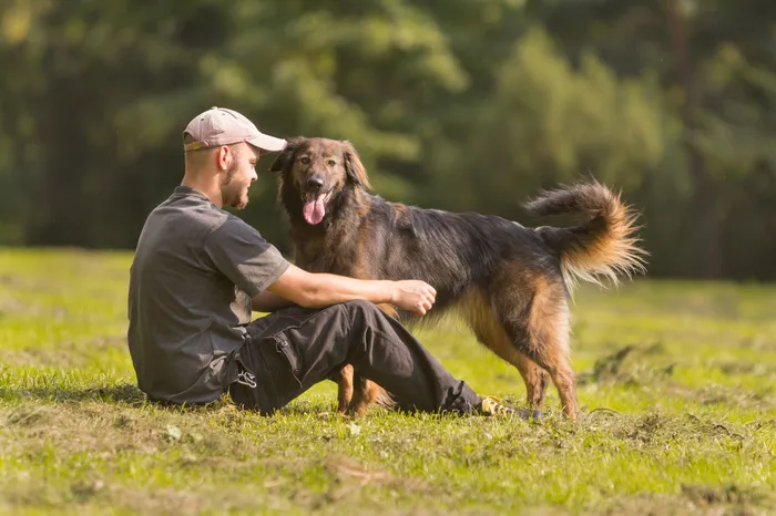 草地上男人与宠物狗图片
