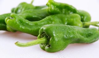 青椒图片
