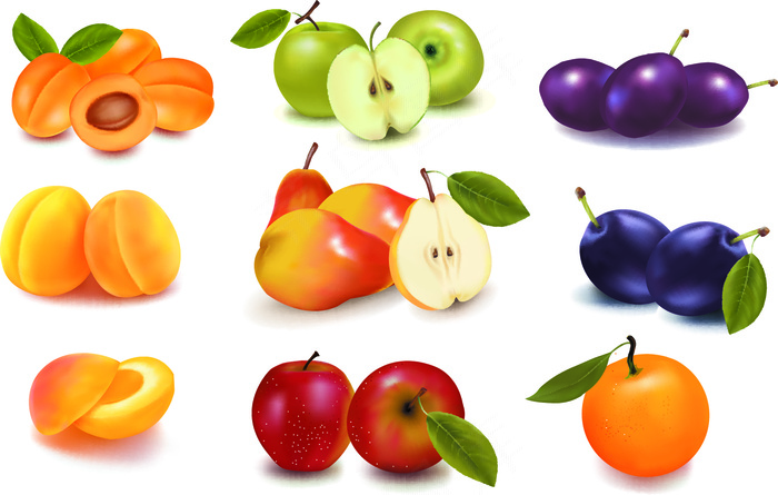 各种新鲜水果大全矢量图