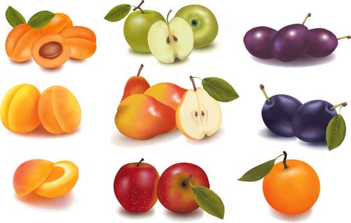 各种新鲜水果大全矢量图