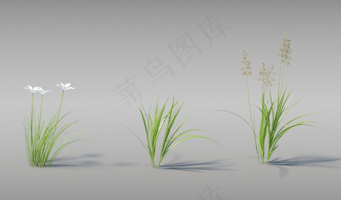 草模型图片
