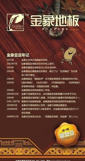 金象地板 豆豆图片