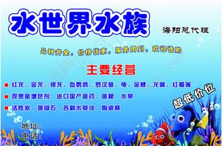 水世界水族宣传广告