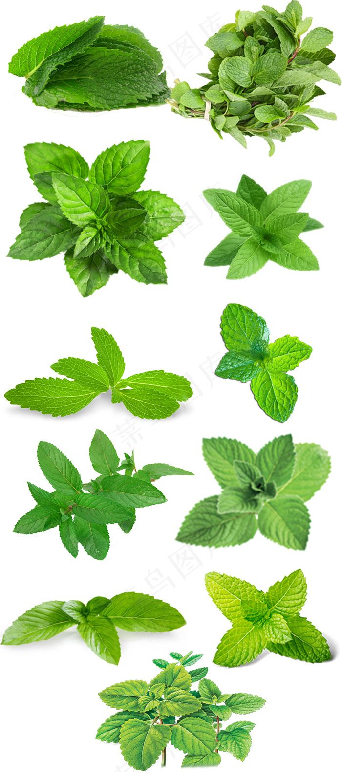 高清绿色清新叶子免抠png图片ps...
