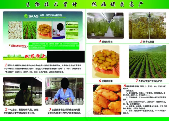 双兴种业