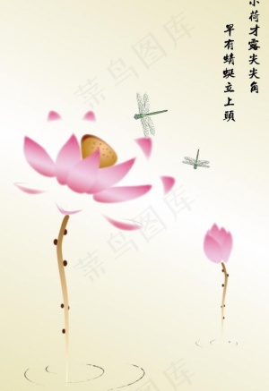 国画莲花图片