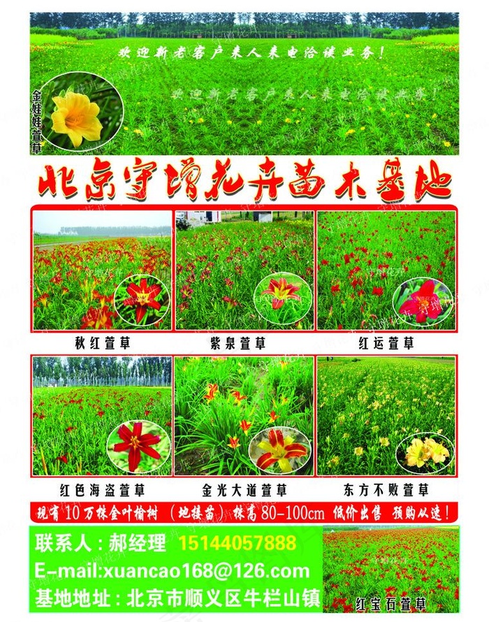 守增花卉图片(2551X3437(DPI:300))psd模版下载