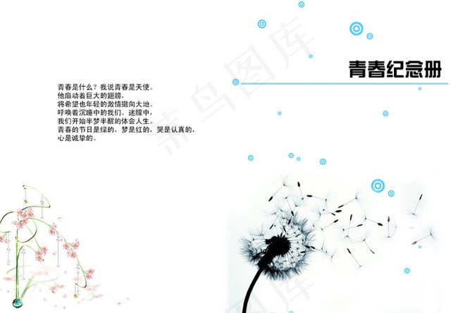 青春纪念册封面 毕业相册