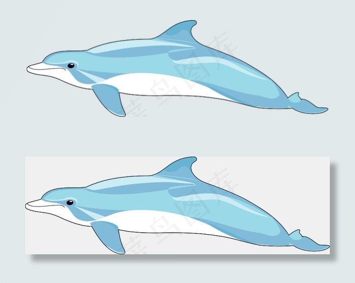 海豚2