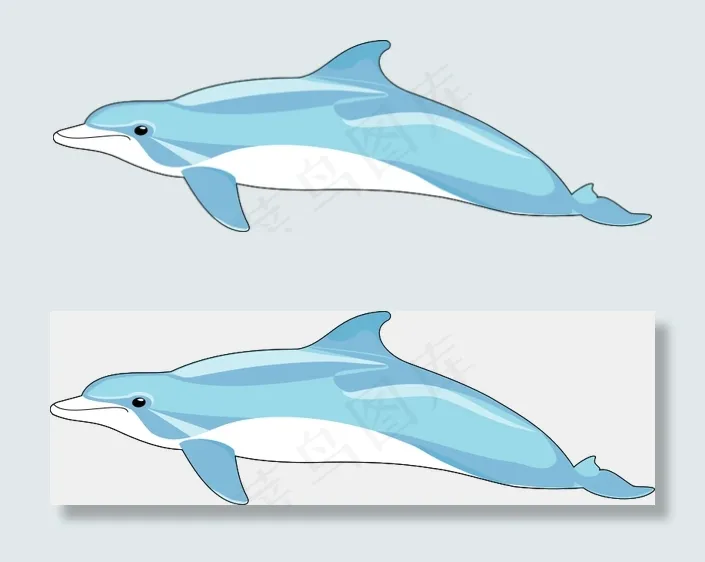 海豚2