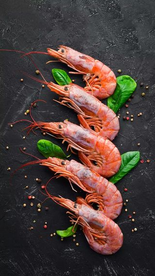 小虾高清摄影图片