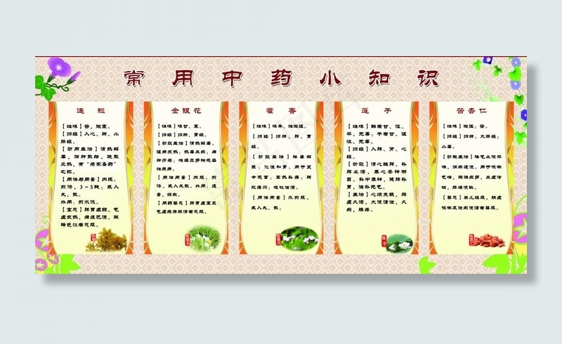 中医展板图片