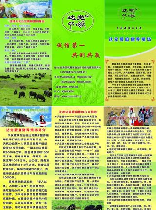 电热水龙头图片