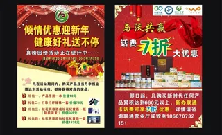 国珍年末宣传页图片