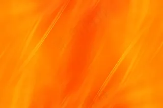 多汁的橙色背景