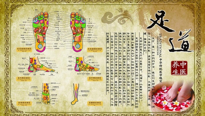 足疗养生 经络图(3780X2362(DPI:120))psd模版下载