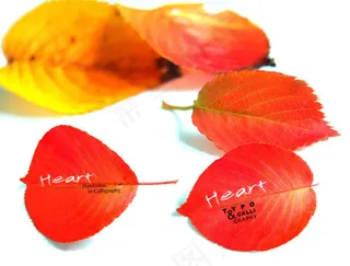 秋日红色落叶系列psd素材-3